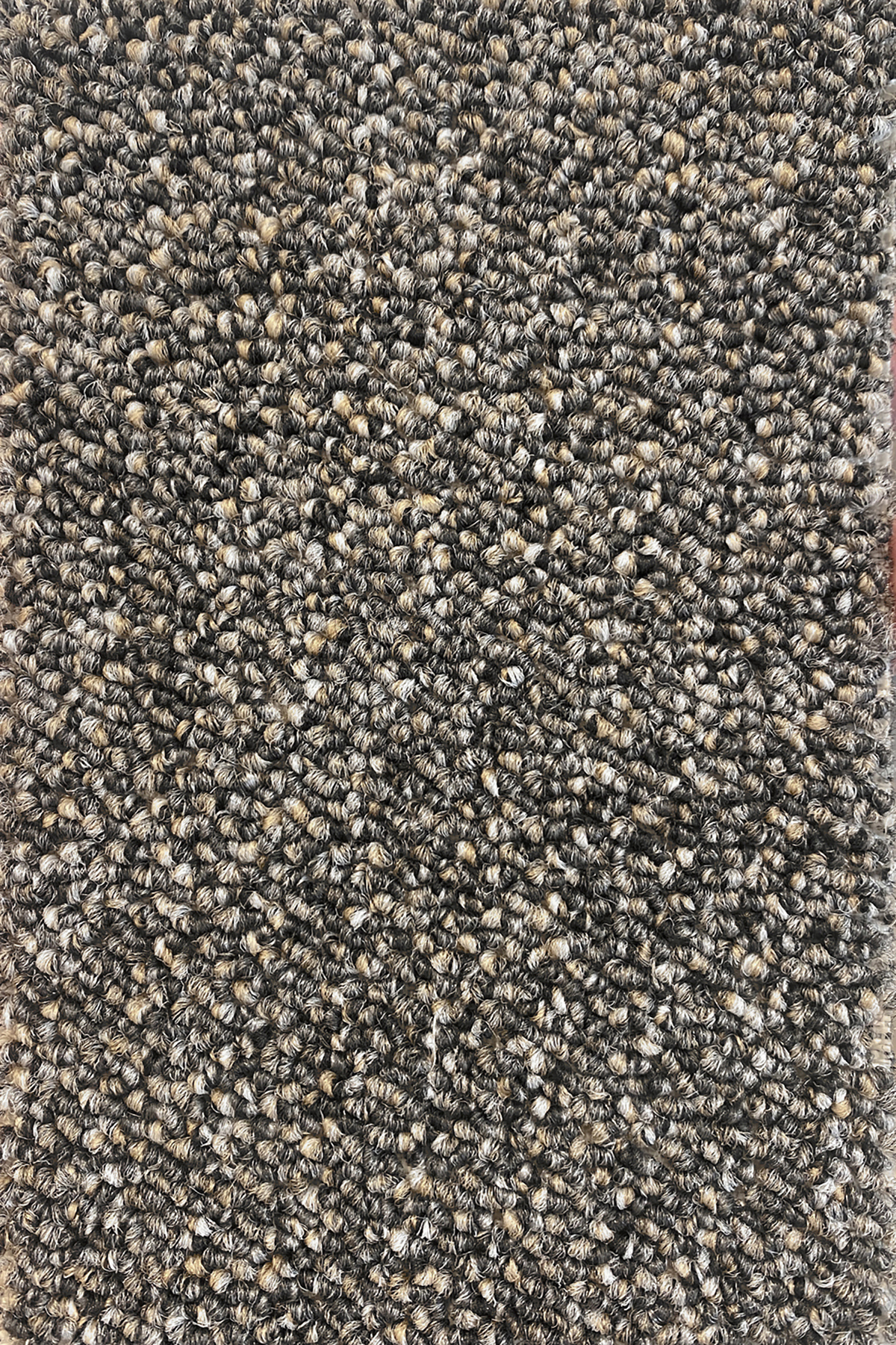 Ковровое покрытие "Bonkeel" Nero 97 (ширина 4м) — купить в Пензе